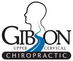 DuBois PA Upper Cervical Chiropractor Dr. Andy Gibson 15801